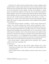 Savivaldybės samprata, valdymas ir jo įtaka savivaldos funkcionavimui 5 puslapis