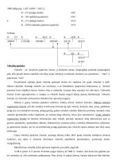 Finansinio turto apskaita 16 puslapis