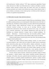 Teisėtumo užtikrinimo viešajame administravime būdai 7 puslapis