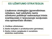 ES užimtumo strategija ir Lietuvos užimtumo politika 11 puslapis