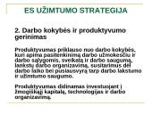 ES užimtumo strategija ir Lietuvos užimtumo politika 13 puslapis