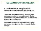 ES užimtumo strategija ir Lietuvos užimtumo politika 14 puslapis