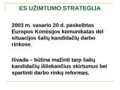 ES užimtumo strategija ir Lietuvos užimtumo politika 16 puslapis