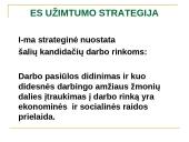 ES užimtumo strategija ir Lietuvos užimtumo politika 17 puslapis