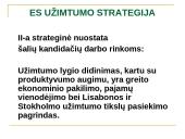 ES užimtumo strategija ir Lietuvos užimtumo politika 18 puslapis