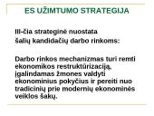 ES užimtumo strategija ir Lietuvos užimtumo politika 19 puslapis