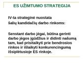 ES užimtumo strategija ir Lietuvos užimtumo politika 20 puslapis