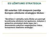 ES užimtumo strategija ir Lietuvos užimtumo politika 4 puslapis