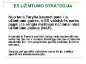ES užimtumo strategija ir Lietuvos užimtumo politika 6 puslapis