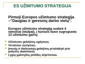 ES užimtumo strategija ir Lietuvos užimtumo politika 7 puslapis