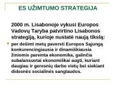 ES užimtumo strategija ir Lietuvos užimtumo politika 8 puslapis