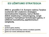 ES užimtumo strategija ir Lietuvos užimtumo politika 10 puslapis