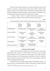 Valstybės funkcijos ir galia 5 puslapis