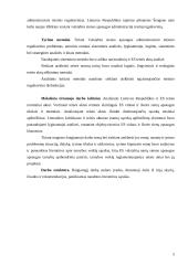 Valstybės sienos apsaugos administracinio teisinio reguliavimo raida po nepriklausomybės atkūrimo 5 puslapis