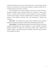 Valstybės sienos apsaugos tarnybos administracinio teisinio reguliavimo problemos 3 puslapis