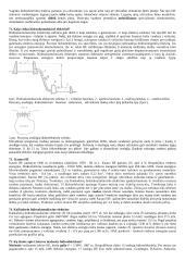 Hidraulikos teorija su formulėmis 15 puslapis