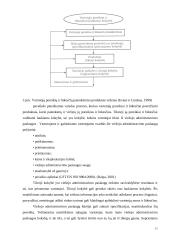 Vartotoju poreikių tenkinimo gerinimas miesto savivaldybėse 11 puslapis