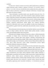 Vartotoju poreikių tenkinimo gerinimas miesto savivaldybėse 17 puslapis