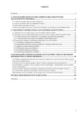 Vartotoju poreikių tenkinimo gerinimas miesto savivaldybėse 3 puslapis