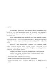 Vartotoju poreikių tenkinimo gerinimas miesto savivaldybėse 4 puslapis