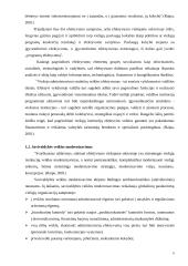 Vartotoju poreikių tenkinimo gerinimas miesto savivaldybėse 6 puslapis