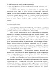 Vartotoju poreikių tenkinimo gerinimas miesto savivaldybėse 7 puslapis