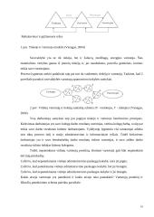 Vartotoju poreikių tenkinimo gerinimas miesto savivaldybėse 10 puslapis