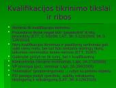 Tiekėjų reikalavimai kvalifikacijai 3 puslapis