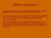 Neįprastai maža pasiūlymo kaina 11 puslapis