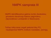 Neįprastai maža pasiūlymo kaina 13 puslapis