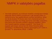 Neįprastai maža pasiūlymo kaina 20 puslapis