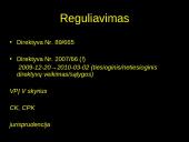 Viešųjų pirkimų ginčų nagrinėjimo procedūros 2 puslapis