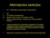 Viešųjų pirkimų ginčų nagrinėjimo procedūros 11 puslapis