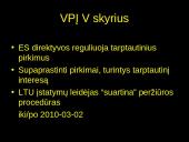 Viešųjų pirkimų ginčų nagrinėjimo procedūros 4 puslapis