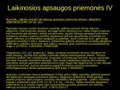 Viešųjų pirkimų ginčų nagrinėjimo procedūros 10 puslapis