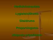 Viešųjų pirkimų principai 2 puslapis