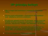 Viešųjų pirkimų principai 3 puslapis