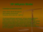 Viešųjų pirkimų principai 6 puslapis