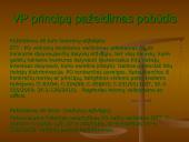 Viešųjų pirkimų principai 9 puslapis