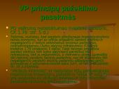 Viešųjų pirkimų principai 10 puslapis