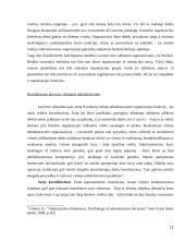 Viešojo administravimo institucijų efektyvumo problemos 11 puslapis