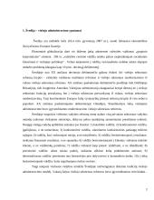 Viešasis administravimas Švedijoje 3 puslapis