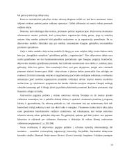 Viešasis administravimas Švedijoje 10 puslapis