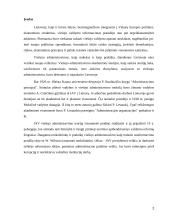 Viešojo administravimo sąvoka ir pagrindinės sritys 2 puslapis