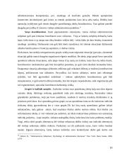 Viešojo sektoriaus dydžio problemos 10 puslapis