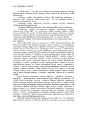 Vykdomosios valdžios sąvoka, požymiai ir funkcijos 2 puslapis