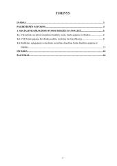 Valstybinio socialinio draudimo fondo biudžetas 2 puslapis