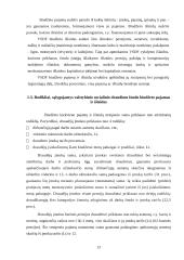 Valstybinio socialinio draudimo fondo biudžetas 13 puslapis