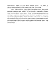 Valstybinio socialinio draudimo fondo biudžetas 15 puslapis