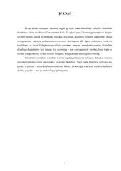 Valstybinio socialinio draudimo fondo biudžetas 3 puslapis